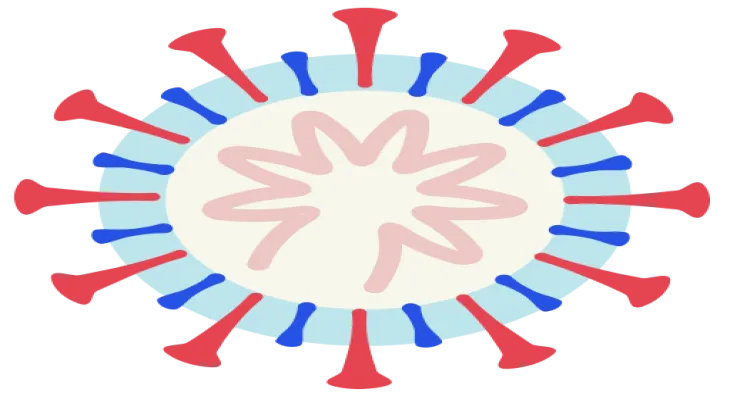 How Canadian researchers use genome sequencing to track coronavirus variants