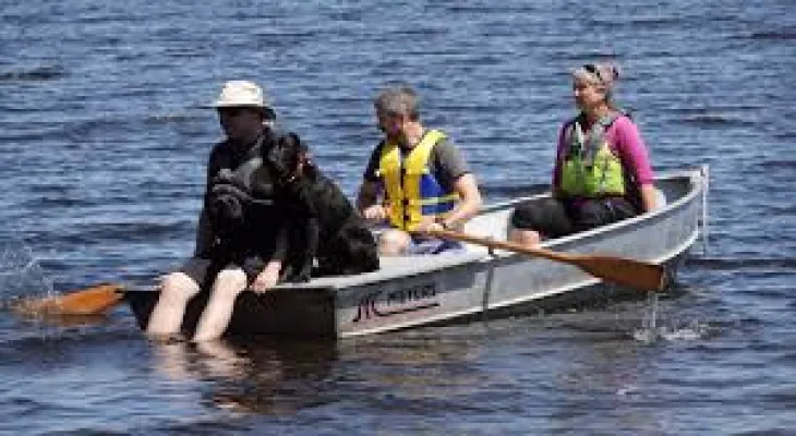 Un groupe local forme des chiens aux opérations de sauvetage aquatique dans la rivière Ottawa