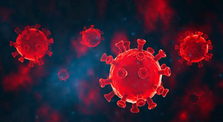 Discovery of a new coronavirus in Brazilian bats raises fears of a potential pandemic